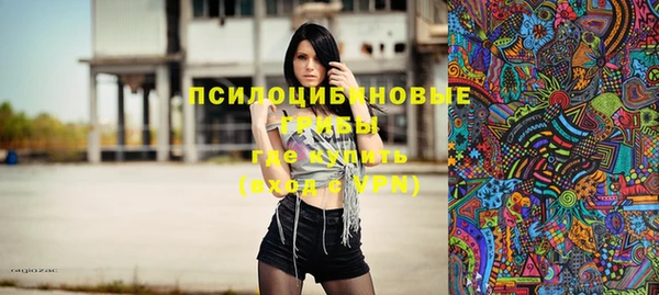 герыч Алексин