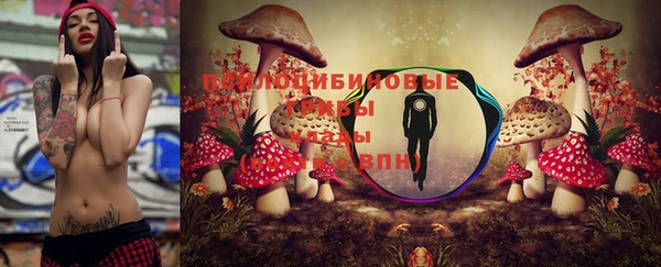 прущая мука Покачи
